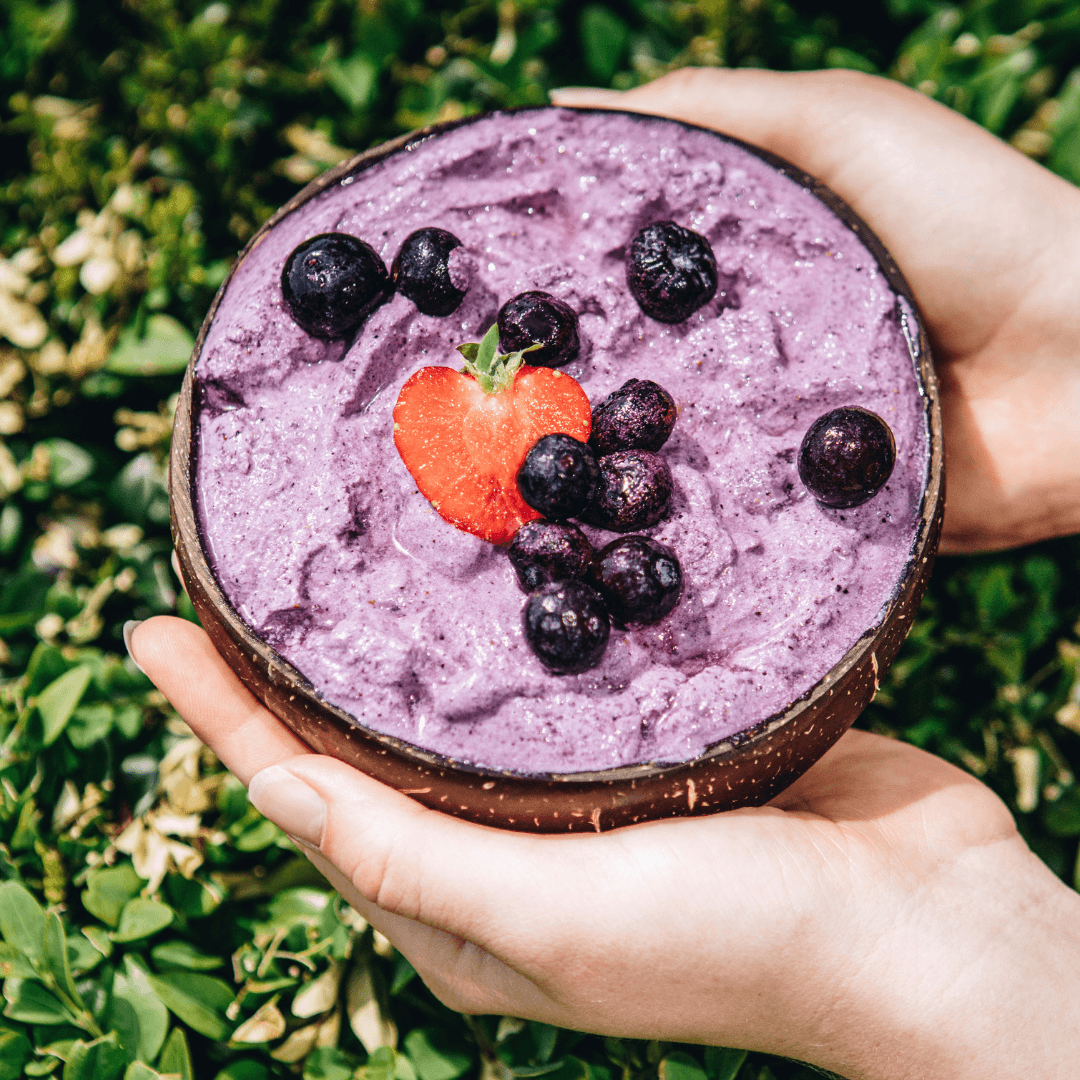 Blueberry Protein Yogurt SF Nutrition